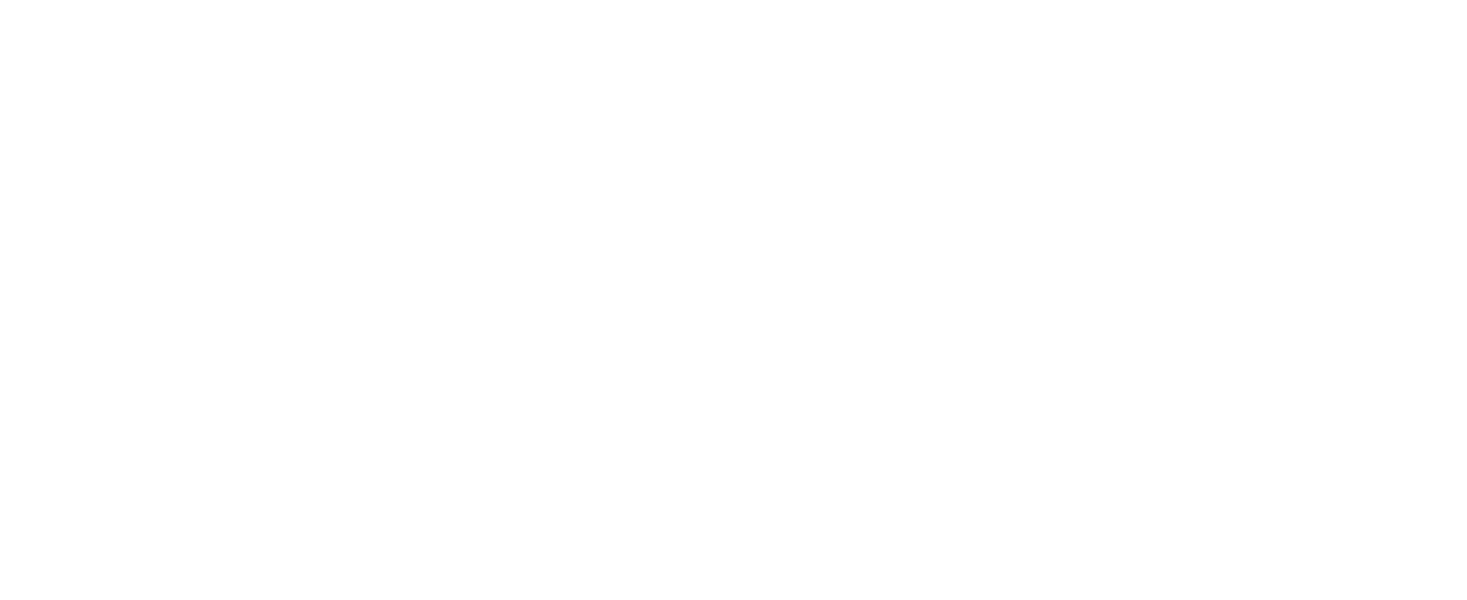 INFORMATION about our INBOUND SERVICE